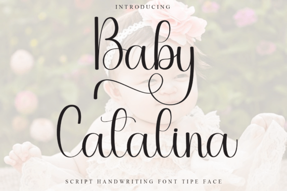Baby Catalina Font for Web Design