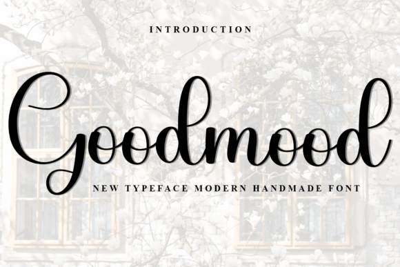 Goodmood Font for Web Design