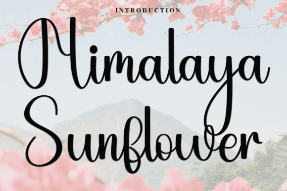 Himalaya Sunflower: A Warm, Friendly Font