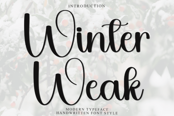 Winter Weak Font for Creative Makers